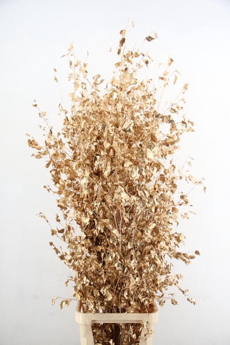 <h4>Betula met Blad Antique Gold</h4>