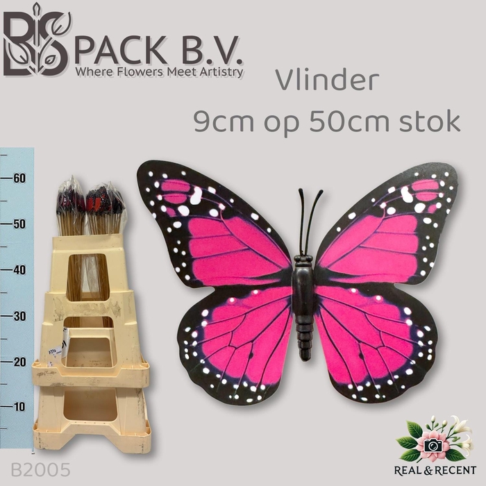 <h4>HUIS EN TUINDECO H%</h4>