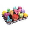 arr8 Cactus Rainbow