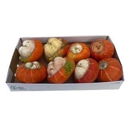 <h4>CUC TURKS TURBAN MIX</h4>