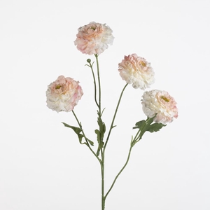 AF Ranunculus spr x4 L70cm pi