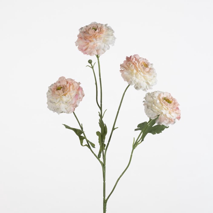 <h4>AF Ranunculus spr x4 L70cm pi</h4>