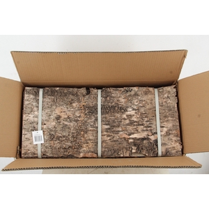 Birch Bark Pack 60x27cm(6p)
