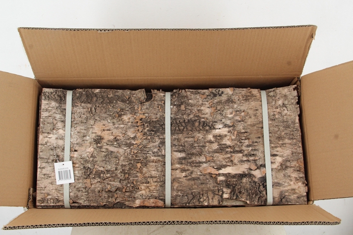 <h4>Birch Bark Pack 60x27cm(6p)</h4>