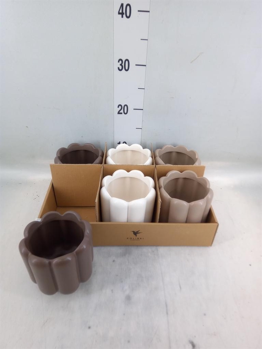 <h4>Pot   ...Keramische H%</h4>