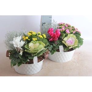 ARR GARDEN WHITE ZINC