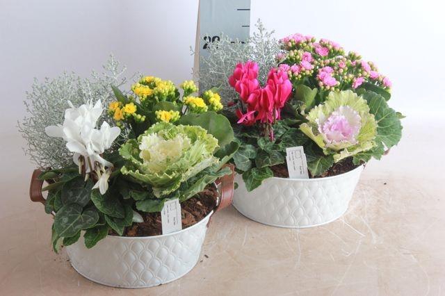 <h4>ARR GARDEN WHITE ZINC</h4>