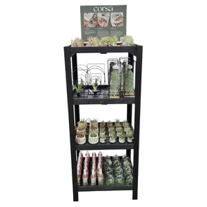 tillandsia display hout 120 cm arrangementen