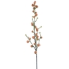 Wild berry spray orange 93cm
