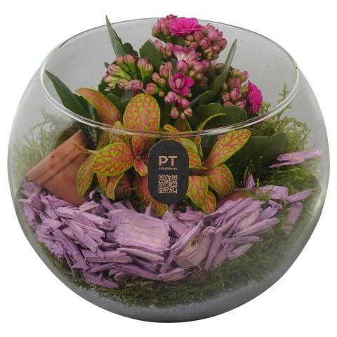 <h4>PTIG2613 Arrangement Indoor in glazen vissenkom</h4>