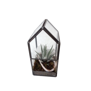 GHK8HRT Glass House Mini Terrarium Heart