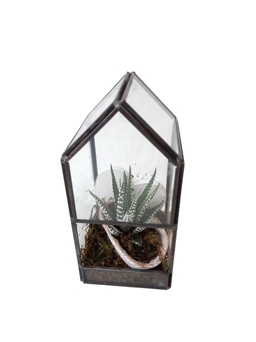 <h4>GHK8HRT Glass House Mini Terrarium Heart</h4>