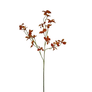 AF Enkianthus spr x3 L78cm or