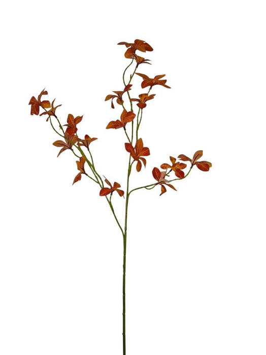 <h4>AF Enkianthus spr x3 L78cm or</h4>