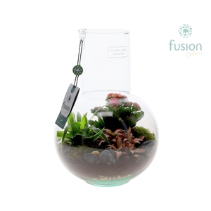 Green Bottle Suzanne Medium met arrangement