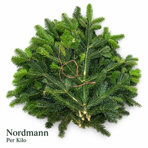 ABIES NORDMAN KILO