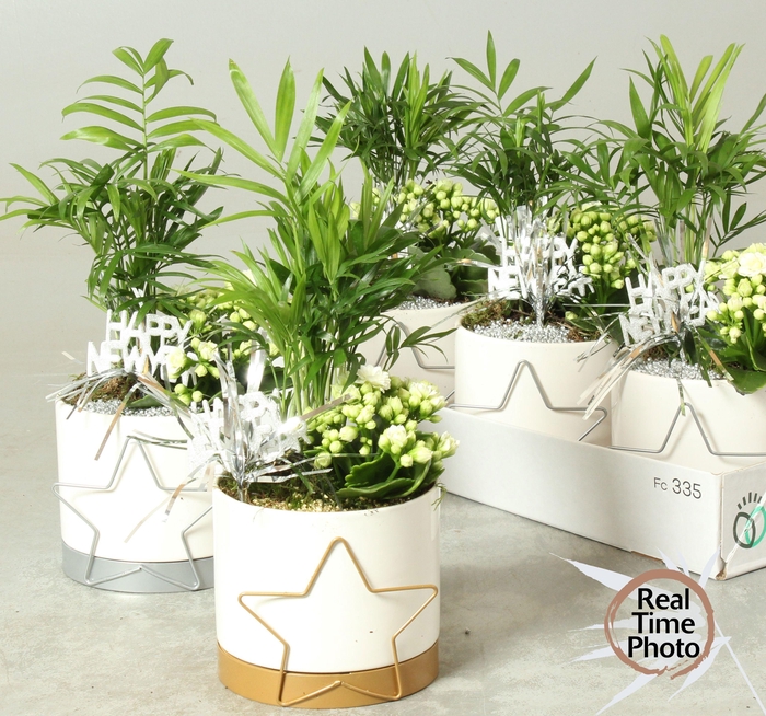 <h4>ARR KAMERPL</h4>