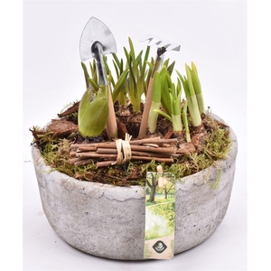 Cement schaal grijs 20.5cm