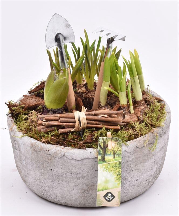 <h4>Cement schaal grijs 20.5cm</h4>