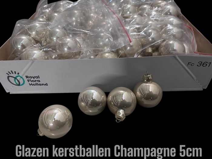 <h4>KERSTBAL IN DOOS H%</h4>