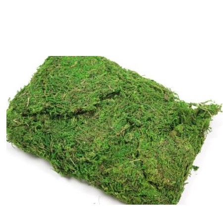 <h4>Droogdeco Mos 250g</h4>