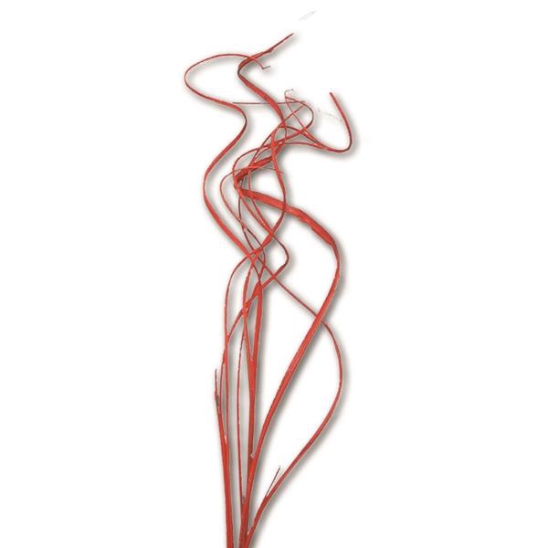 <h4>Curly Ting Ting 3pc Toef Red Spring</h4>