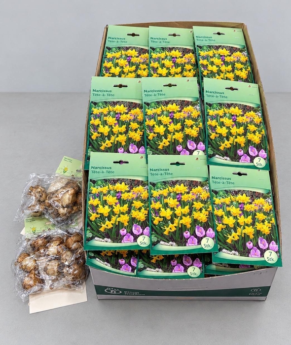 <h4>Narcissus   ...flowerbulbs</h4>