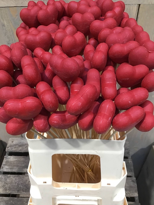 HARTJE OP STOK RED 60CM