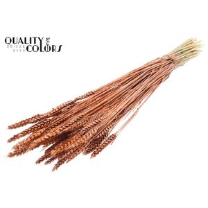 Triticum per bunch Copper + Glitter