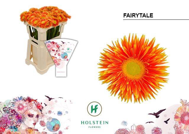 <h4>GE MI FAIRYTALE</h4>