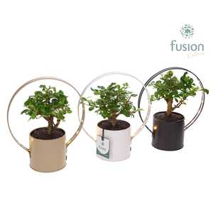 Zinken LED planter pot met Bonsai