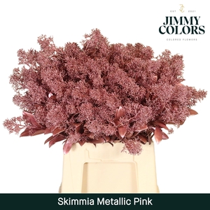 Skimmia per bos L45 Mtlc. Roze + glitter