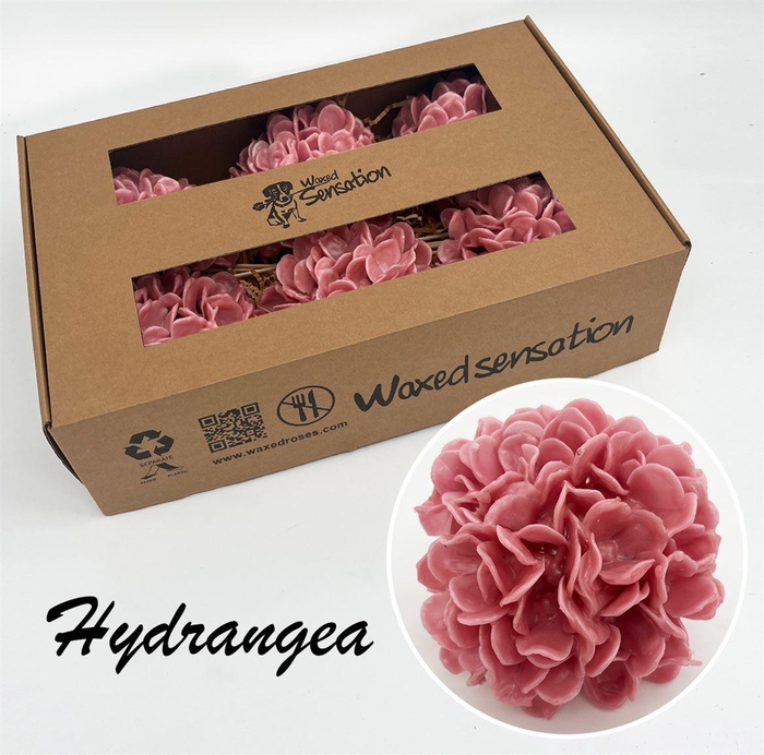<h4>Zijde Hydr Wx Taupe</h4>