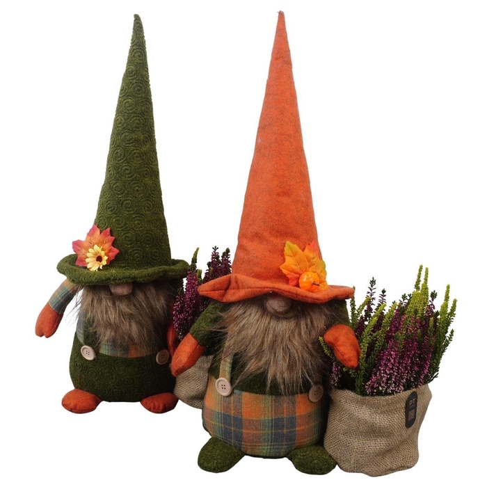 <h4>Arr.   Tuinplanten L%</h4>