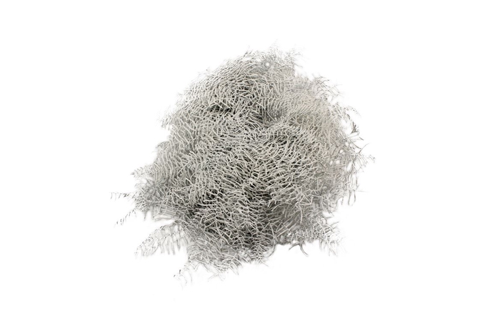 Koraalvaren Verf Wit