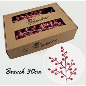 Zijde Berry Pick Spray 30cm Icy Rood