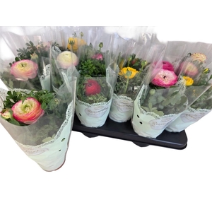 !! PROMO !! RANUN SPRINKLE MIX