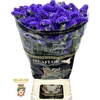 Lim S Crystal Dark Blue