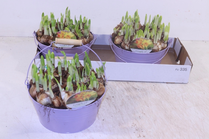 <h4>ARR N TETE A TETE</h4>