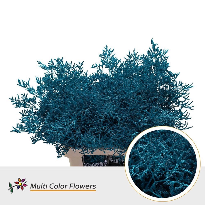 <h4>Limonium DYED Turquoise</h4>