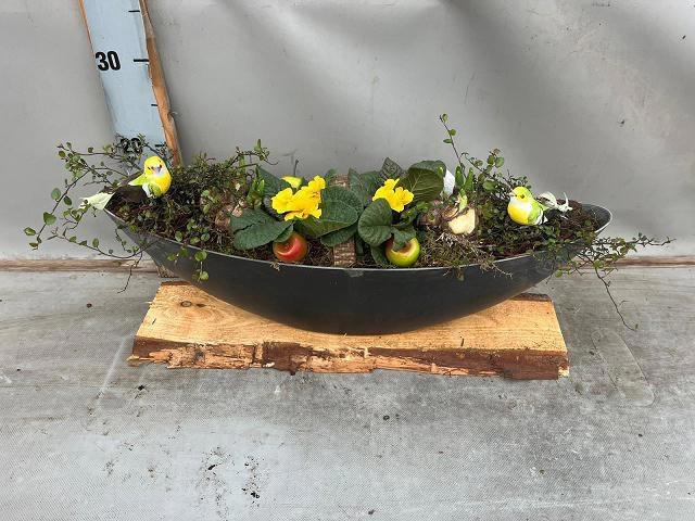 <h4>ARR BOL KNOLGEWAS</h4>