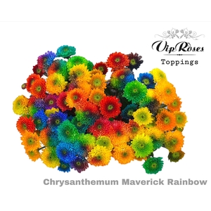 CHR S MAVERICK RAINBOW