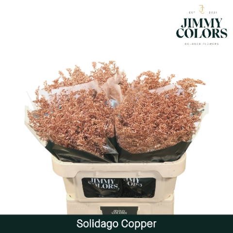 <h4>Solidago L70 Metallic Copper</h4>