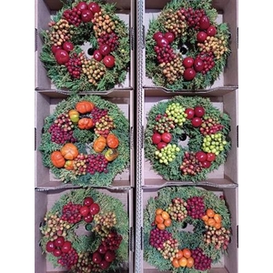 Wr Sierfruit 30 Cm Extra Junicolored (anttar)