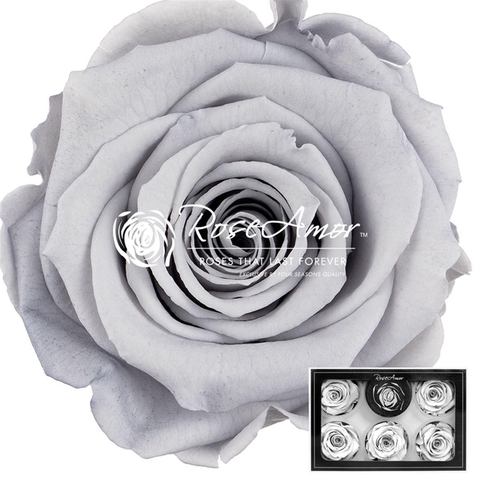 <h4>Pr 1 Gry02 Xl</h4>