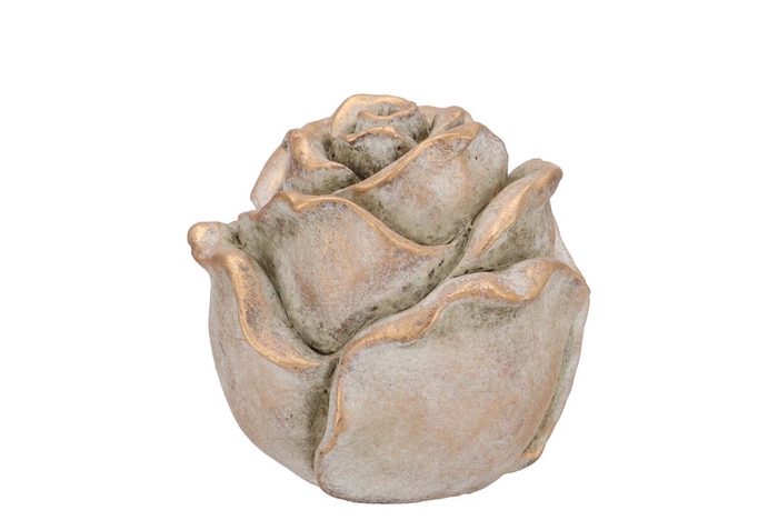 <h4>Concrete Gold Rose 11x11x11cm</h4>