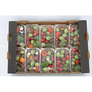 Sier Cucumis Mix X10