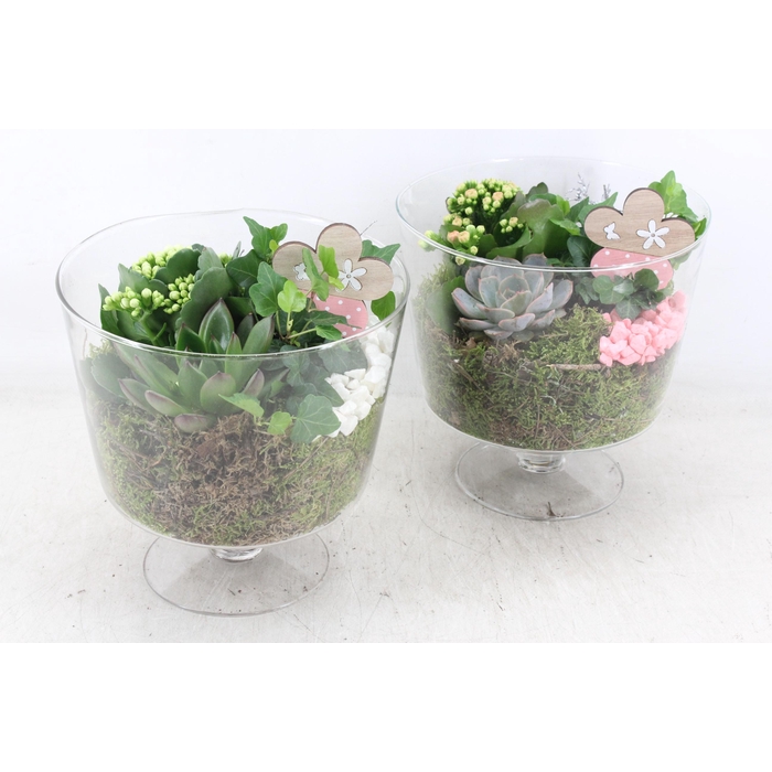 <h4>Arr2 Mb - Glas Breed Op Voet - Roze/wit</h4>