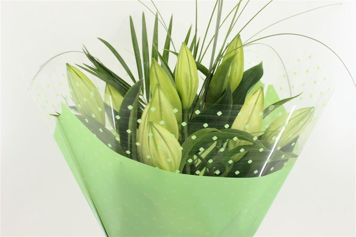 <h4>Boeket Mono Lelie Wit (3)</h4>