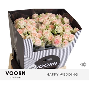 R Tr Happy Wedding Voorn